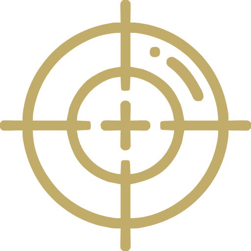 precision icon